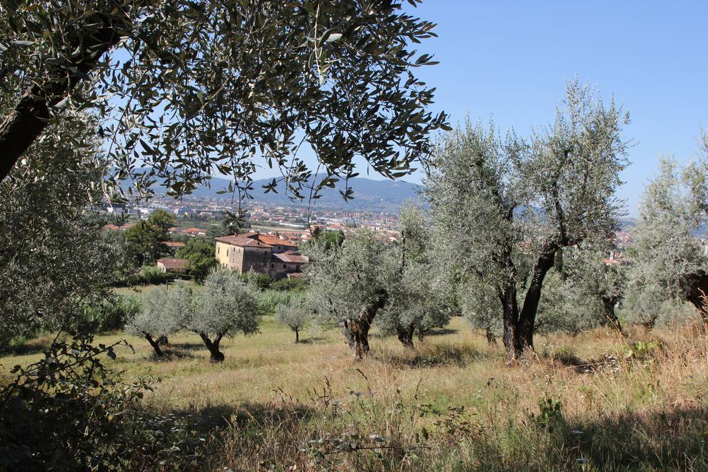 La Casa Dei Tarocchi Villa Pistoia Exterior photo