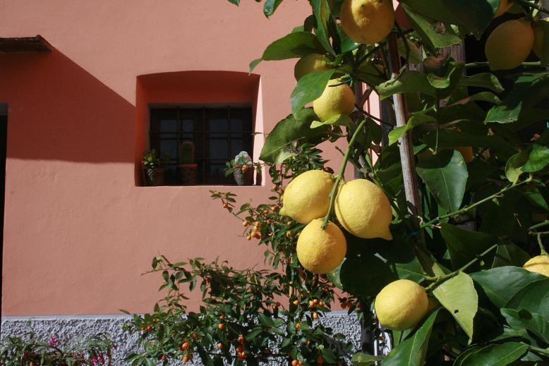 La Casa Dei Tarocchi Villa Pistoia Exterior photo